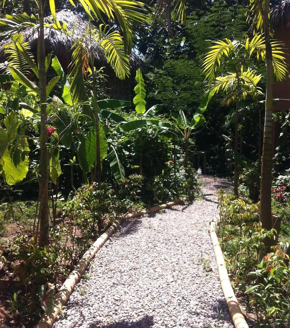 Samana Tropical Village Hotel