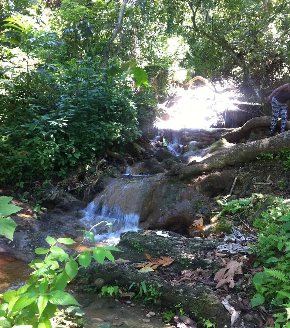 Samana Tropical Village 2*,