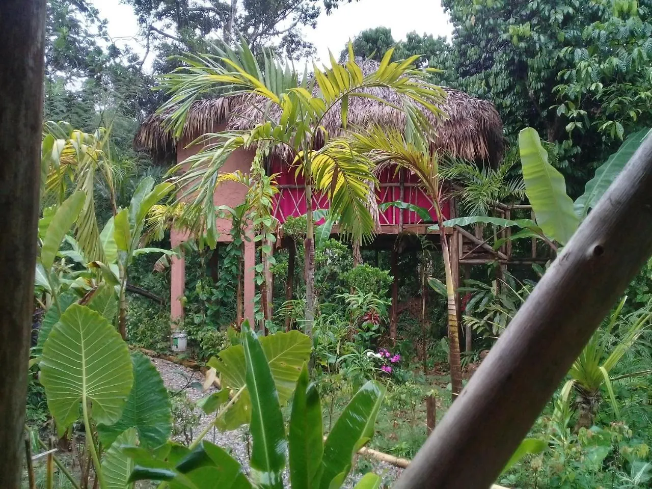 Samana Tropical Village República Dominicana