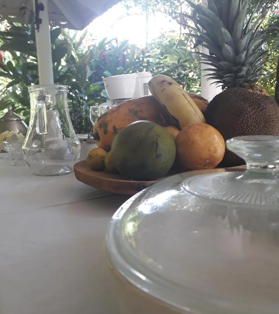 Samana Tropical Village
