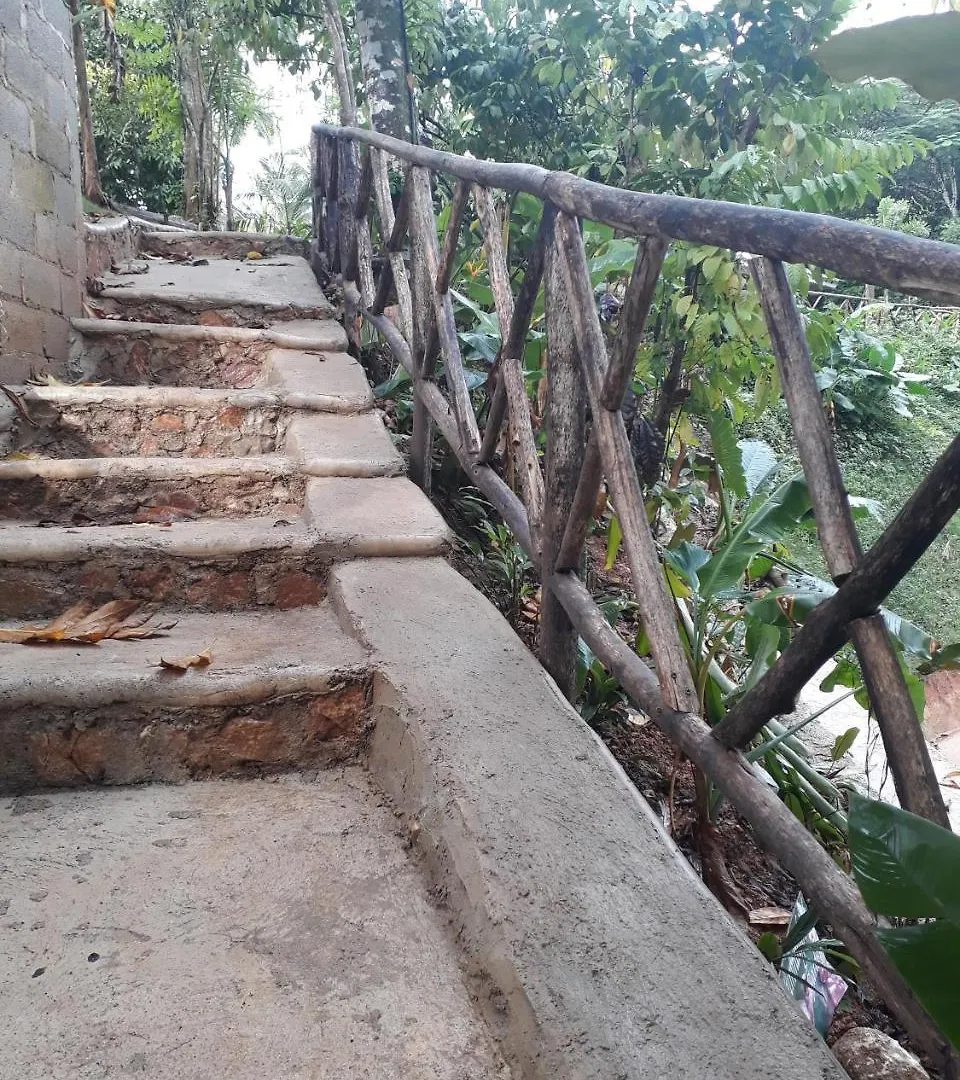Hotel Samana Tropical Village