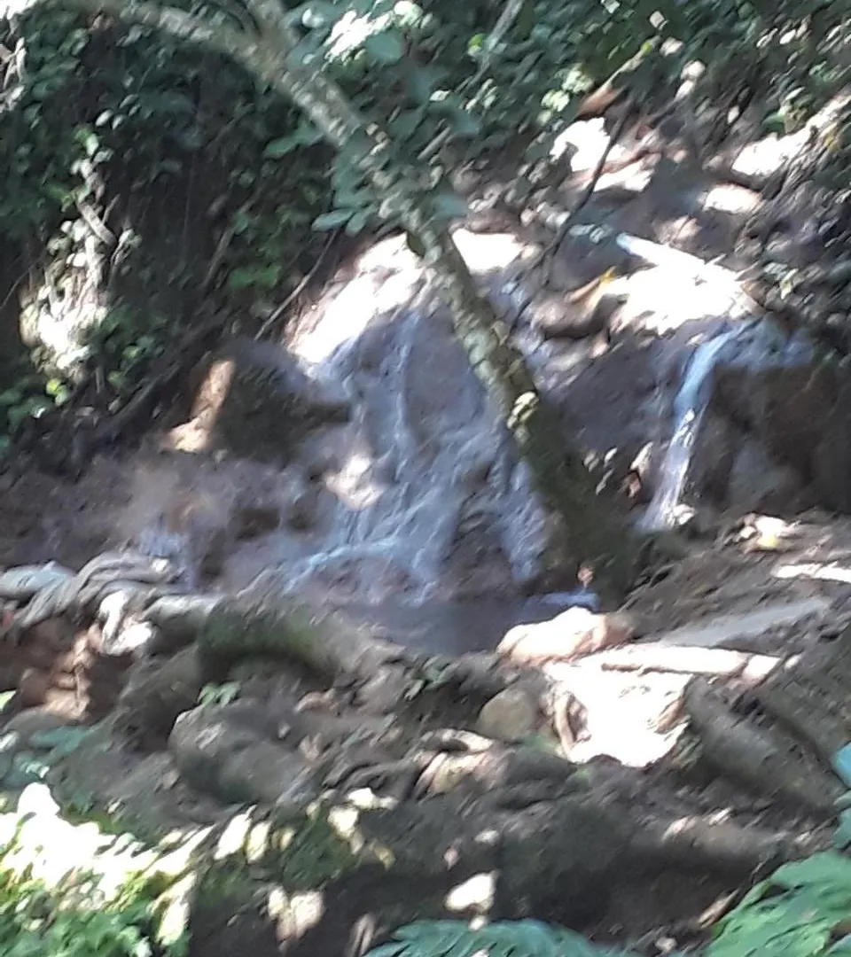 Samana Tropical Village